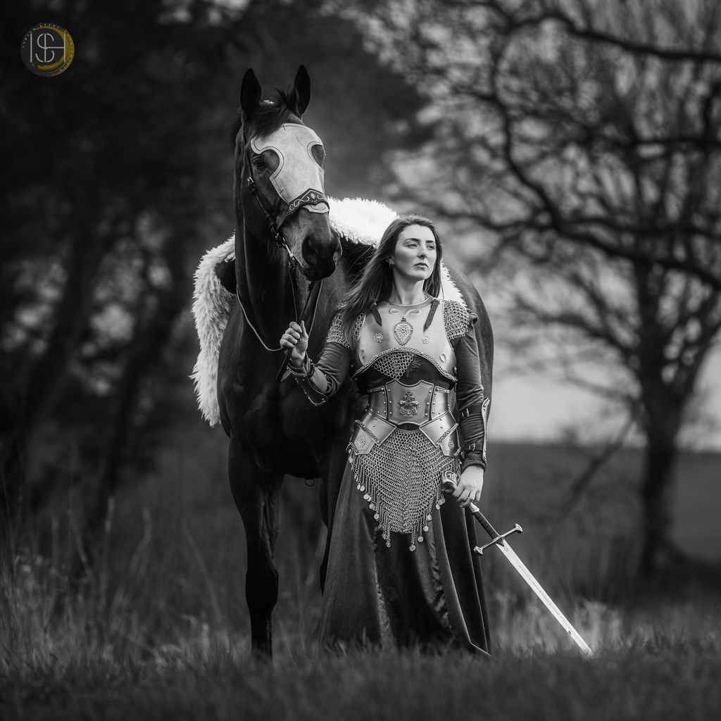 Medieval Female Warrior Armor Set, Handmade Steel Armor, Chainmail Costume, Fantasy Knight Armor, Cosplay Armor for Women