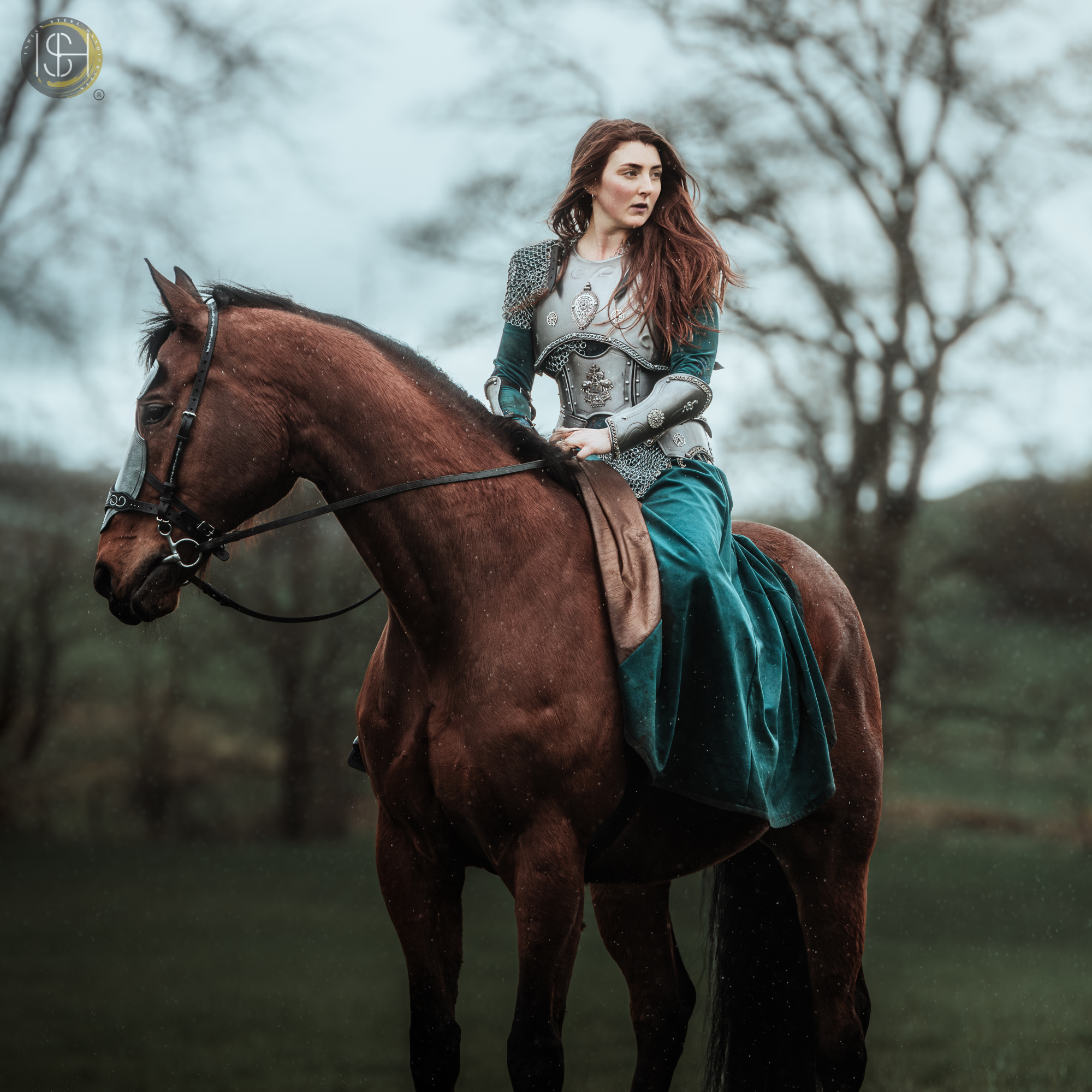 Medieval Female Warrior Armor Set, Handmade Steel Armor, Chainmail Costume, Fantasy Knight Armor, Cosplay Armor for Women