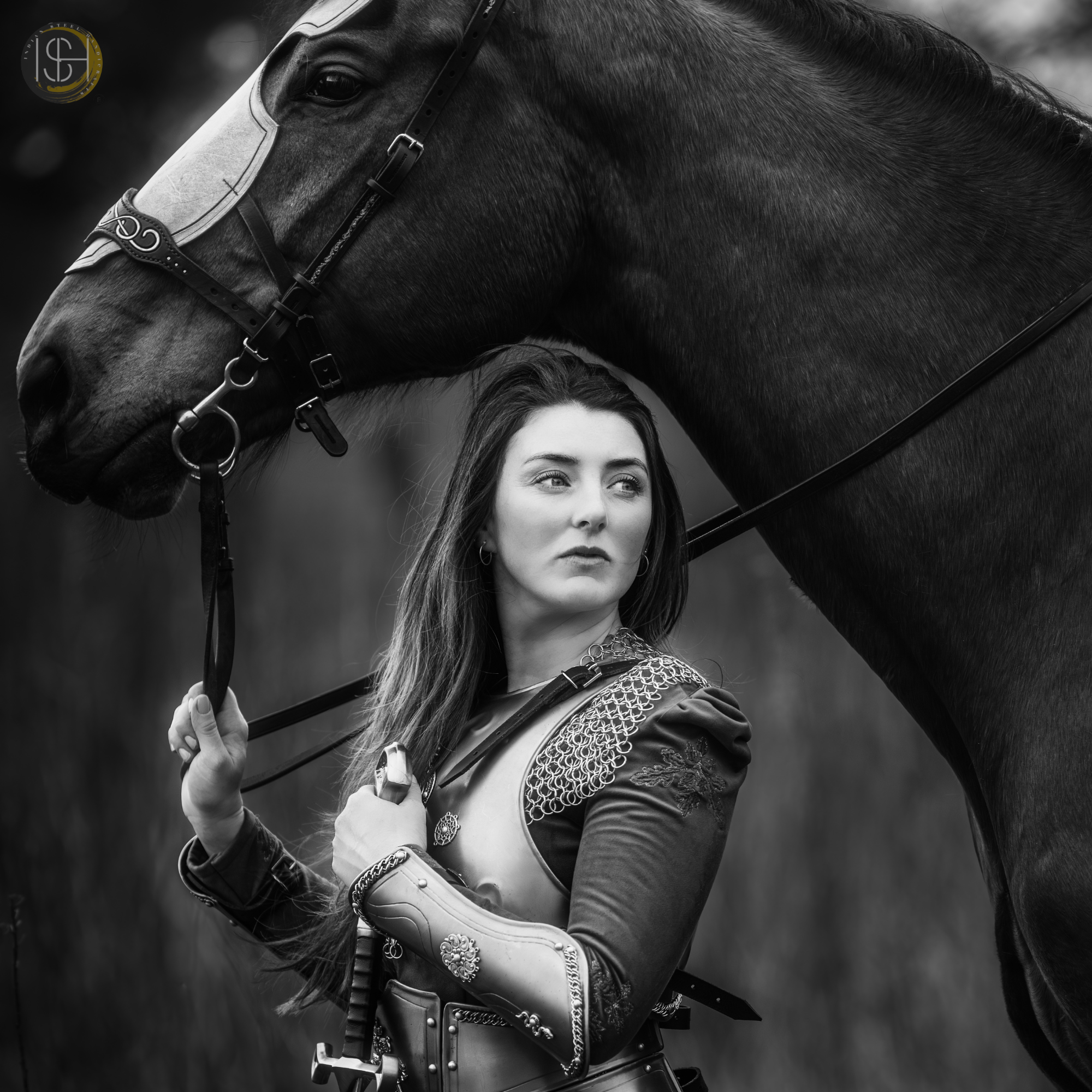 Medieval Female Warrior Armor Set, Handmade Steel Armor, Chainmail Costume, Fantasy Knight Armor, Cosplay Armor for Women