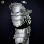 Medieval Women’s Steel Armor Set – Chainmail Skirt Lady Knight Costume.