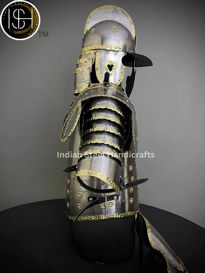 Medieval Hussar Jacket Armor, Larp Armor, Cosplay Armor, Fantasy Armor Costume, SCA Armor, Larp Costume, Gift Items. ISH Collection