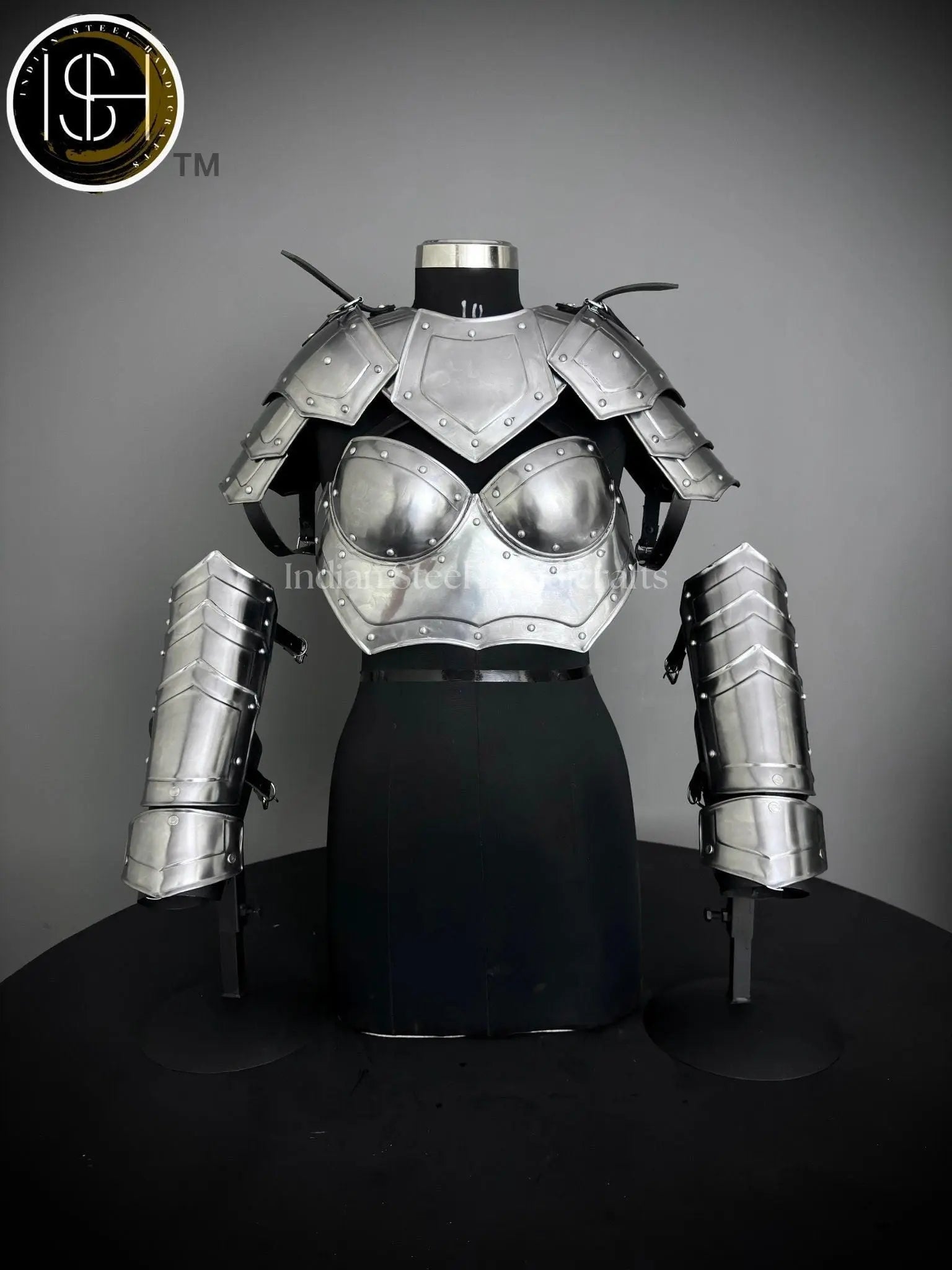 Medieval Steel Corset Armor: Adult Female Costume, LARP Cosplay