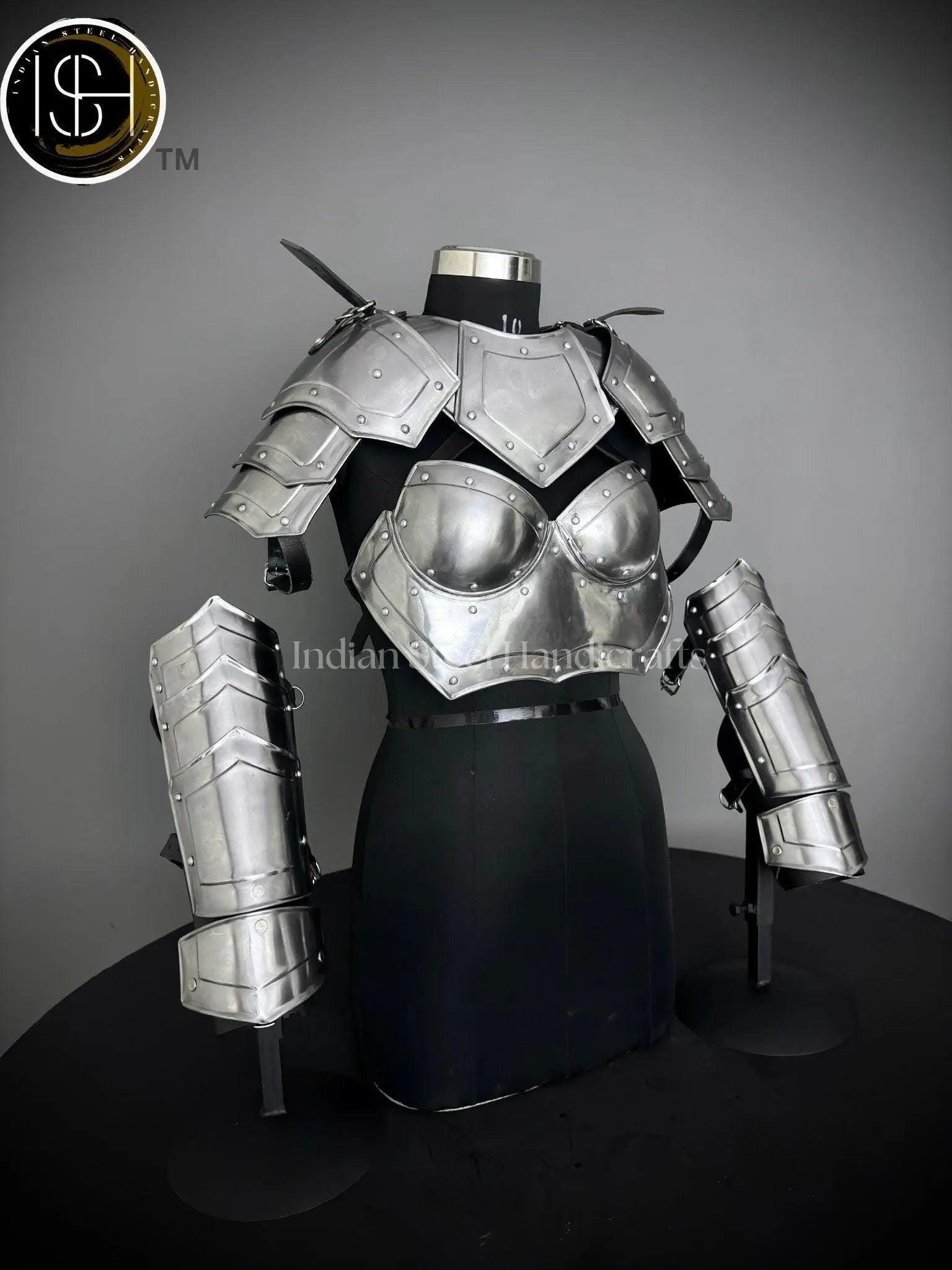 Medieval Steel Corset Armor: Adult Female Costume, LARP Cosplay