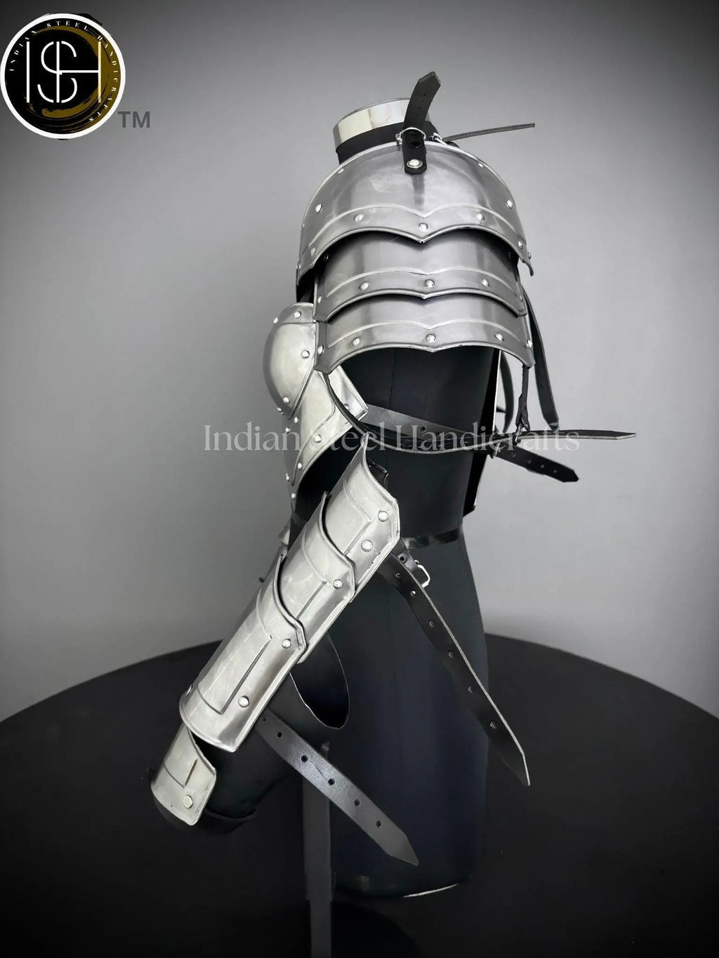 Medieval Steel Corset Armor: Adult Female Costume, LARP Cosplay