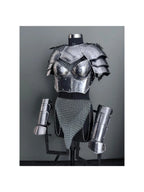 Medieval Women's Chainmail Armor Set: SCA LARP Female Knight Costume
